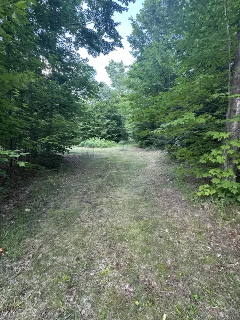 8366 Buck Trl, Frederic, MI 49733 photo 15