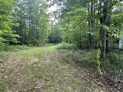 8366 Buck Trl, Frederic, MI 49733 photo 14