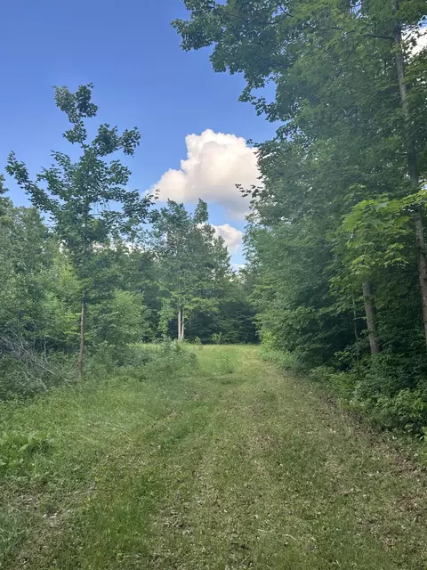 8366 Buck Trl, Frederic, MI 49733 photo 9