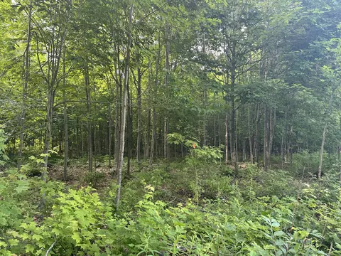 8366 Buck Trl, Frederic, MI 49733 photo 8
