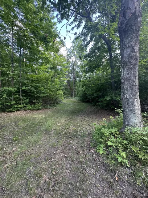 8366 Buck Trl, Frederic, MI 49733 photo 6