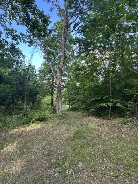 8366 Buck Trl, Frederic, MI 49733 photo 7