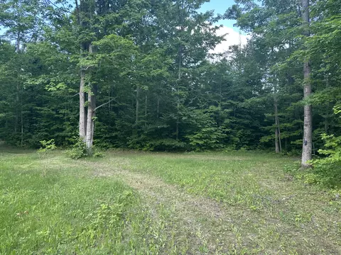 8366 Buck Trl, Frederic, MI 49733 photo 11
