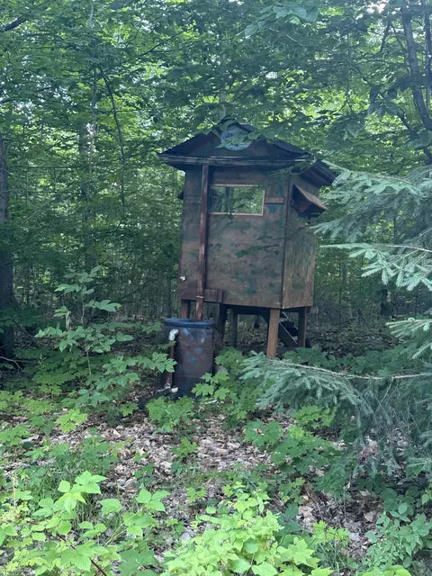 8366 Buck Trl, Frederic, MI 49733 photo 17