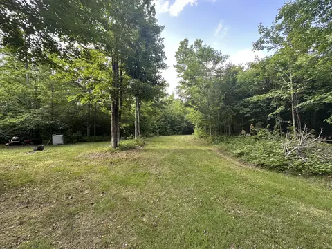 8366 Buck Trl, Frederic, MI 49733 photo 5