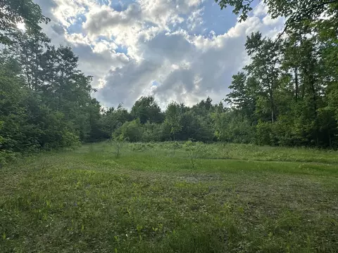 8366 Buck Trl, Frederic, MI 49733 photo 12