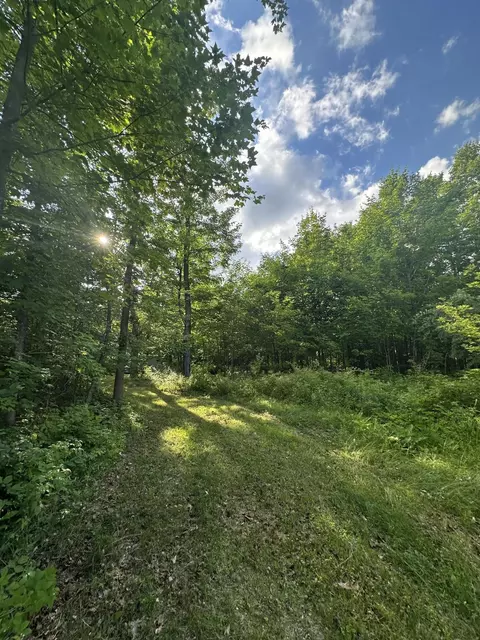 8366 Buck Trl, Frederic, MI 49733 photo 21