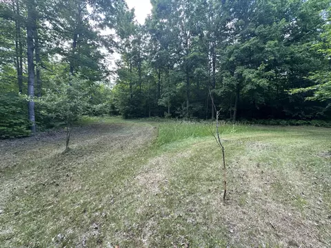 8366 Buck Trl, Frederic, MI 49733 photo 19