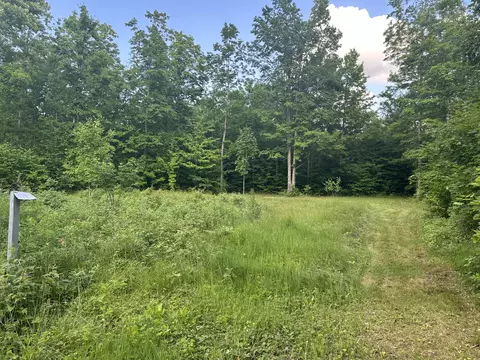 8366 Buck Trl, Frederic, MI 49733 photo 10