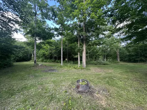 8366 Buck Trl, Frederic, MI 49733 photo 4