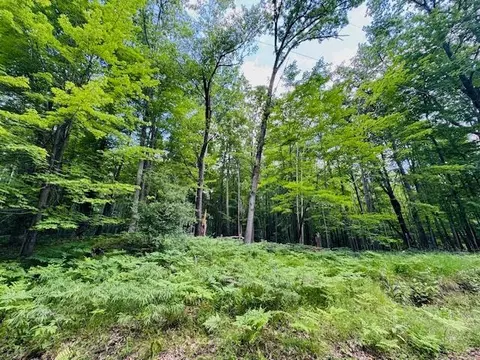Exterior - 1785 Springwood Dr, Harrison, MI 48625 photo 9 of 12