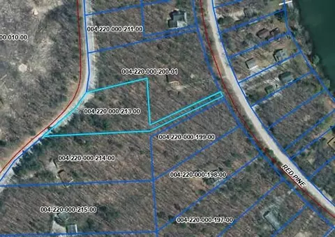 V/L Ess Lake Drive #213, Hillman, MI 49746
