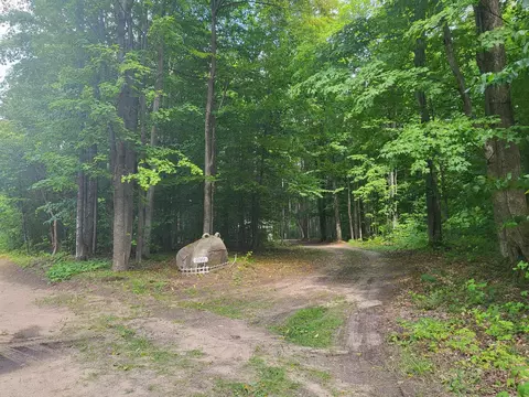 9044 N Deer Trl, Frederic, MI 49733 photo 3
