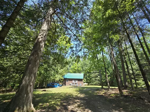 Exterior - 1987 N Galbraith Rd, Mio, MI 48647 photo 27 of 41