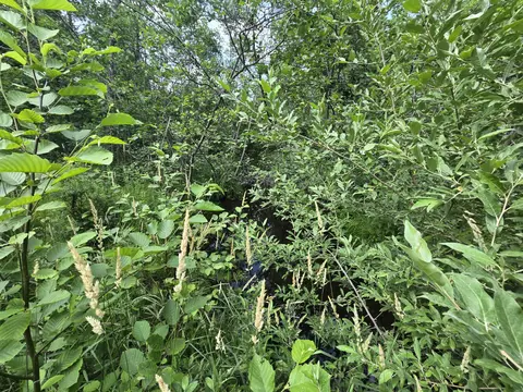 Other - 1987 N Galbraith Rd, Mio, MI 48647 photo 11 of 26