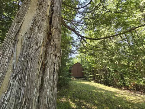 Exterior - 1987 N Galbraith Rd, Mio, MI 48647 photo 37 of 41