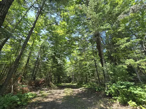 Other - 1987 N Galbraith Rd, Mio, MI 48647 photo 12 of 26