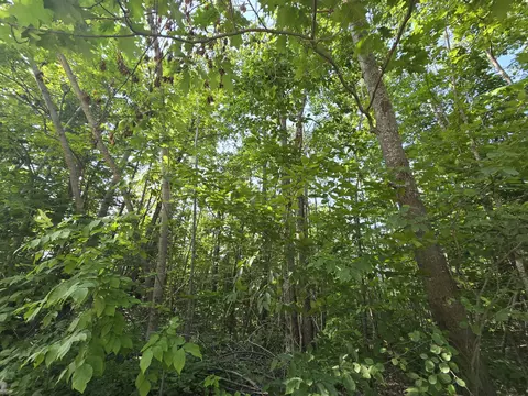Other - 1987 N Galbraith Rd, Mio, MI 48647 photo 7 of 26