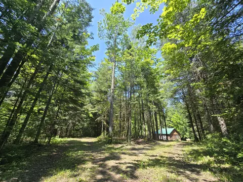 Exterior - 1987 N Galbraith Rd, Mio, MI 48647 photo 24 of 41