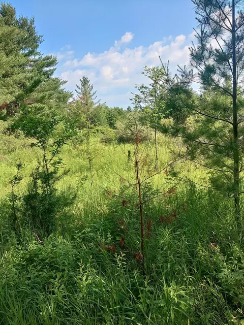 M 72, Luzerne, MI 48636 photo 4