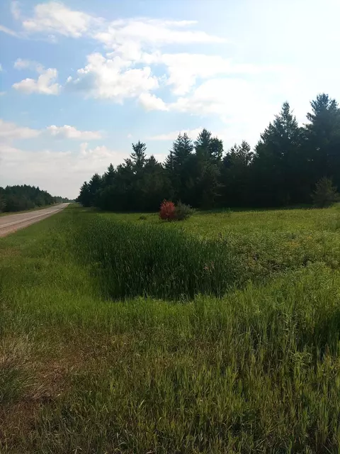 M 72, Luzerne, MI 48636