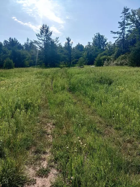 M 72, Luzerne, MI 48636 photo 5