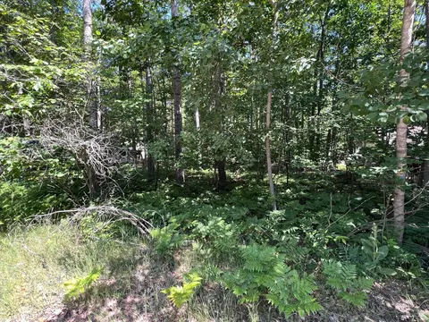 lot37 39 Pingree St, Roscommon, MI 48653 photo 4