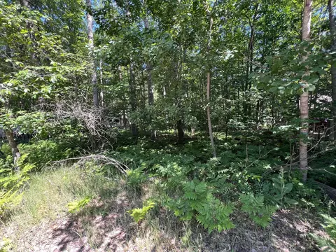 lot37 39 Pingree St, Roscommon, MI 48653 photo 3