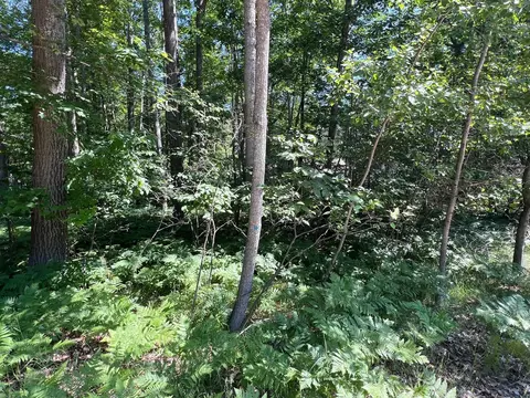 lot37 39 Pingree St, Roscommon, MI 48653