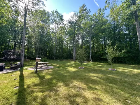 4527 Balmes Trl, Grayling, MI 49738 photo 8