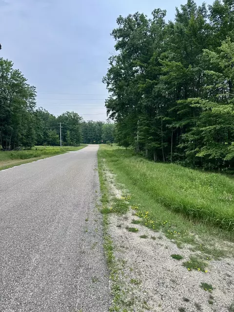 4527 Balmes Trl, Grayling, MI 49738 photo 61