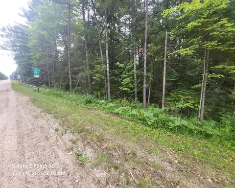 v/l Michigan Central Park Blvd #.32 ACRES, Roscommon, MI 48653