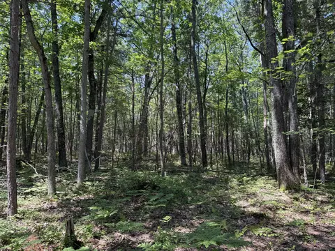6287 Waubun Rd, Indian River, MI 49749
