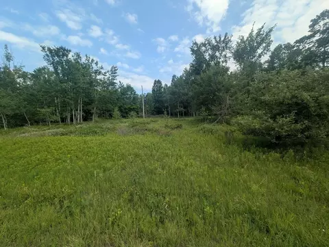 W Long Lake Road, Alpena, MI 49707