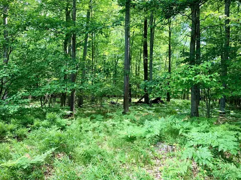 lot S 1-6 Garfield Blvd #& S 45-50, Roscommon, MI 48653