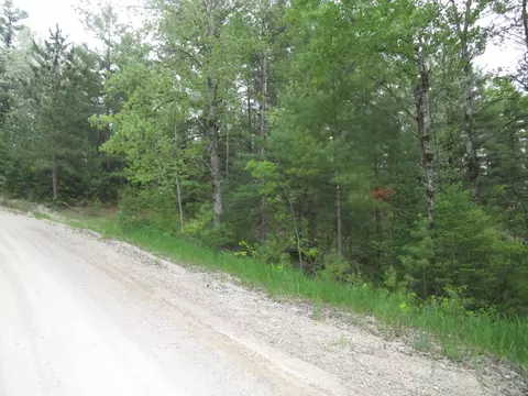 14796 E Shore Line Dr, Wolverine, MI 49799