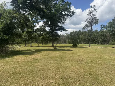 Exterior - 2142 Eaton Trl, Grayling, MI 49738 photo 6 of 7