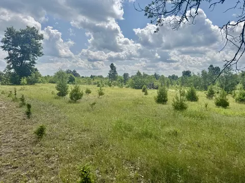 Other - 2142 Eaton Trl, Grayling, MI 49738 photo 8 of 8