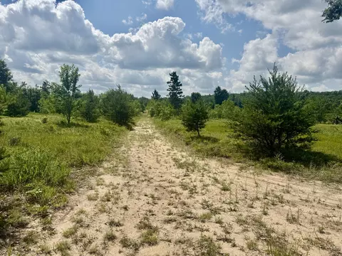 Other - 2142 Eaton Trl, Grayling, MI 49738 photo 6 of 8