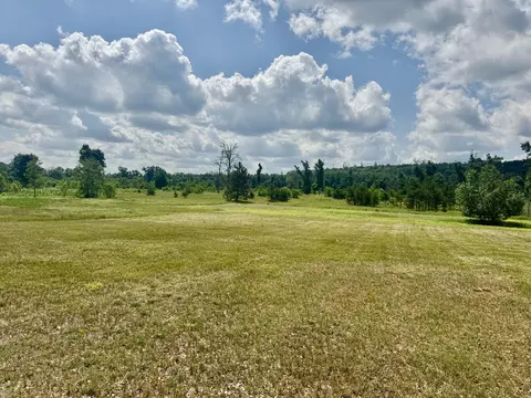 Exterior - 2142 Eaton Trl, Grayling, MI 49738 photo 5 of 7