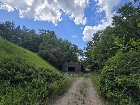 Exterior - 1330 S Mt Tom Rd, Mio, MI 48647 photo 10 of 29