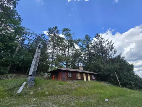 Exterior - 1330 S Mt Tom Rd, Mio, MI 48647 photo 3 of 29