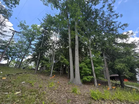 Exterior - 1330 S Mt Tom Rd, Mio, MI 48647 photo 22 of 29