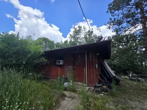 Exterior - 1330 S Mt Tom Rd, Mio, MI 48647 photo 13 of 29