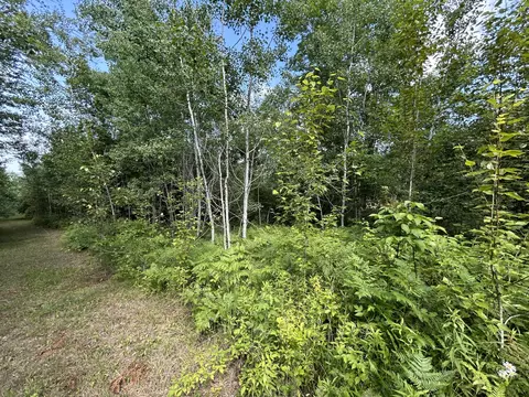 Nhn Emils Landing Road, Hillman, MI 49746