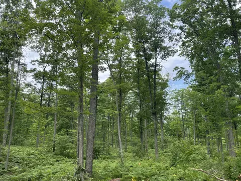 10 Acres School Rd, Roscommon, MI 48653 photo 3