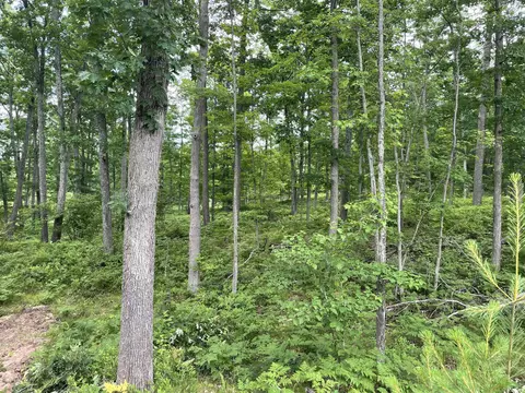 10 Acres School Rd, Roscommon, MI 48653