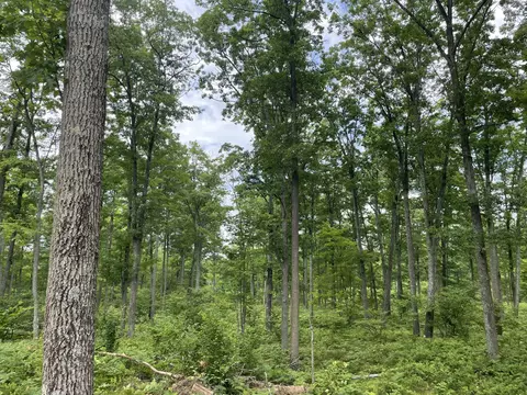 10 Acres School Rd, Roscommon, MI 48653 photo 8