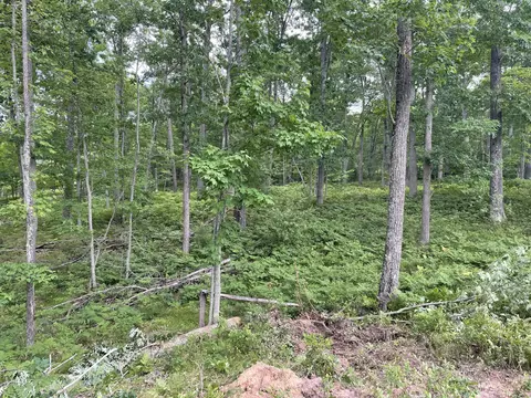 10 Acres School Rd, Roscommon, MI 48653 photo 5