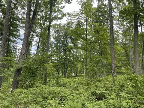 10 Acres School Rd, Roscommon, MI 48653 photo 6